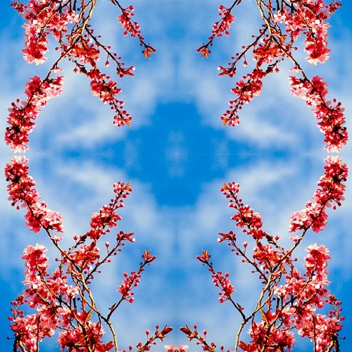 Hanami Jeyvez & Aternum, Worka