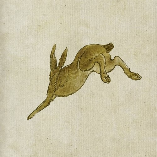 Harpy Hare Yaelokre