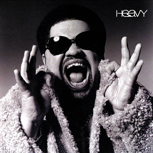 Heavy Heavy D