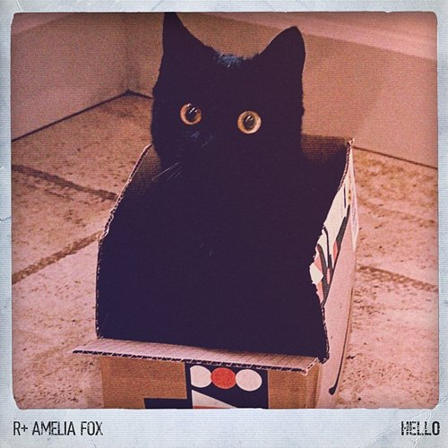 Hello R Plus, Amelia Fox
