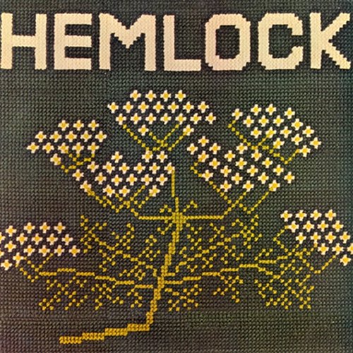 Hemlock Hemlock