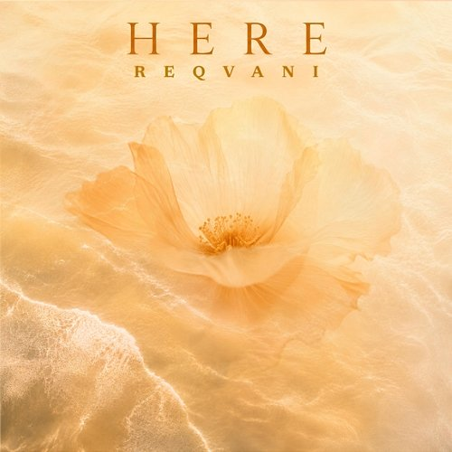 Here Reqvani, Eric Z.