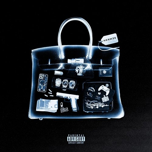 HERMES Gazo