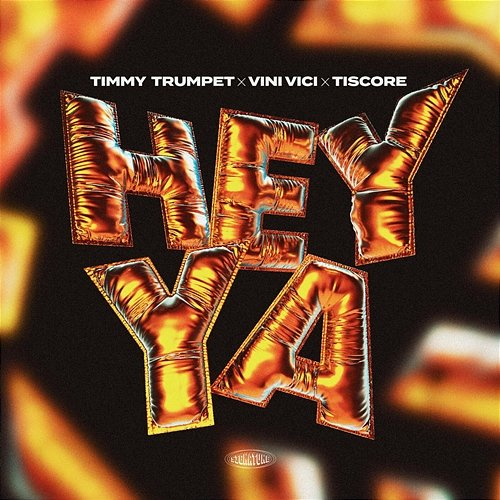 Hey Ya Timmy Trumpet, Vini Vici, Tiscore