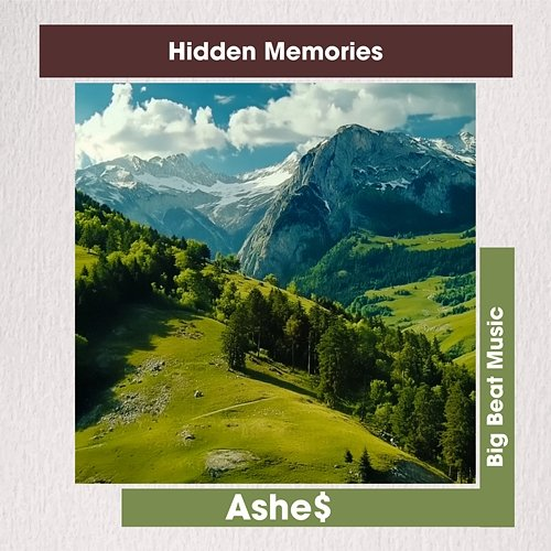 Hidden Memories Ashe$