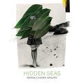 Hidden Seas Maria Chiara Argirò