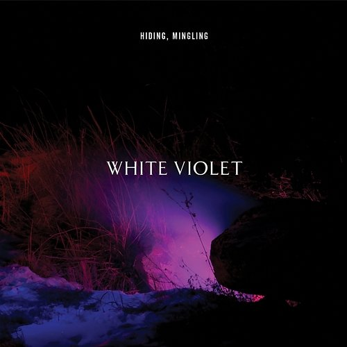 Hiding, Mingling Violet White