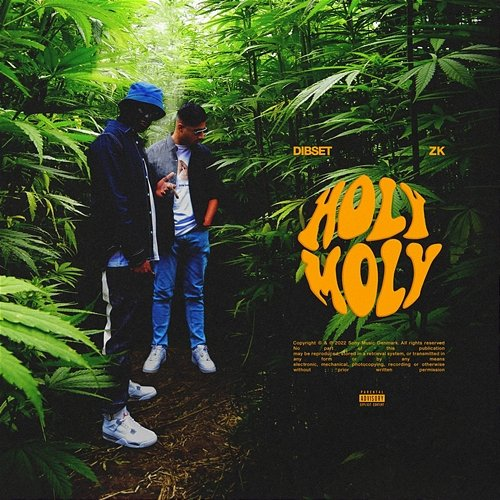 Holy Moly DIBSET feat. ZK