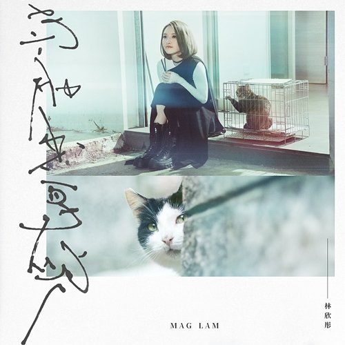 Home Mag Lam