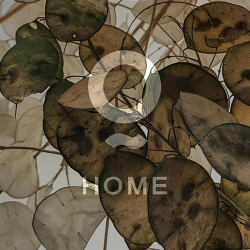 Home Deniz Güngör