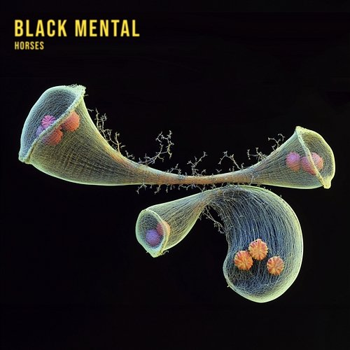 Horses Black Mental