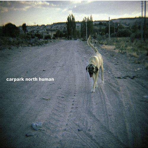 Human Carpark North