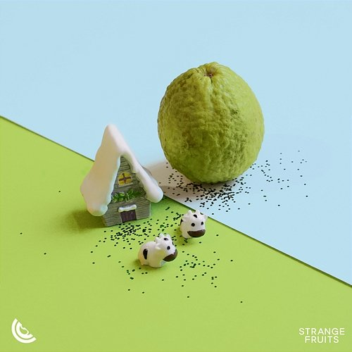 Human Dance Fruits Music