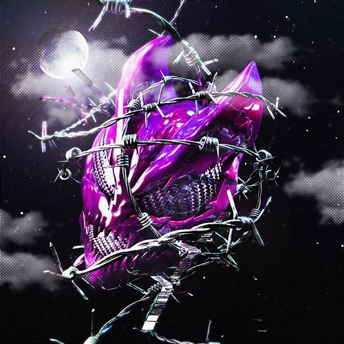HYPER PHONK RAIZHELL