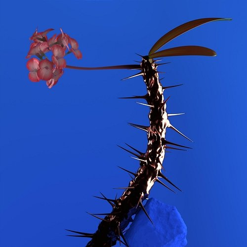 Hyperreal Flume