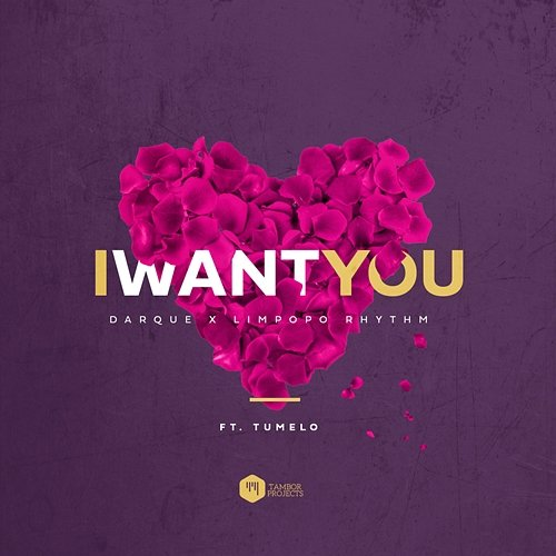 I Want You Darque and Limpopo Rhythm feat. Tumelo