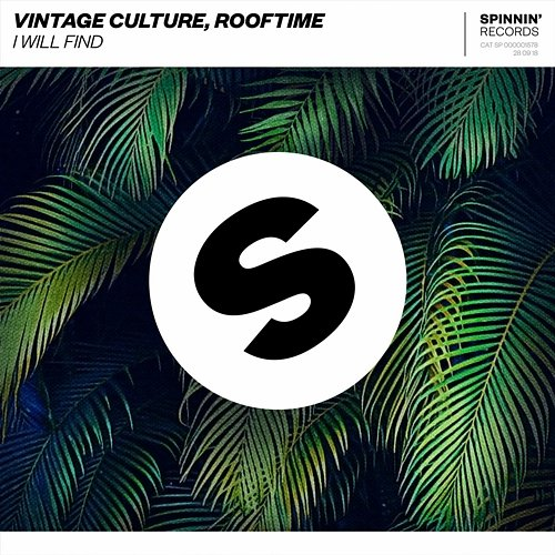 I Will Find Vintage Culture, Rooftime