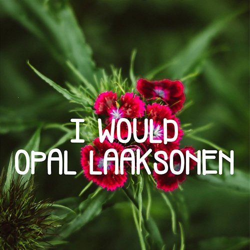 I Would Opal Laaksonen