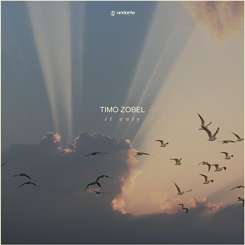 If Only Timo Zobel
