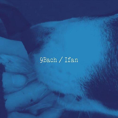 Ifan 9Bach
