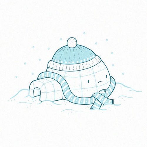 Igloo Kvítek