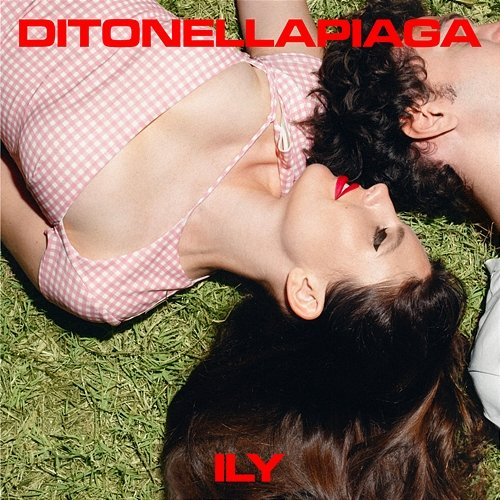 ILY Ditonellapiaga