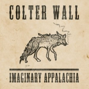 Imaginary Appalachia, płyta winylowa Wall Colter