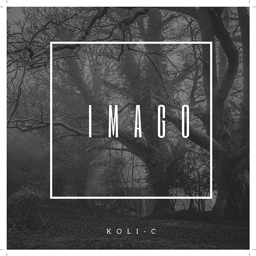 IMAGO Koli-C