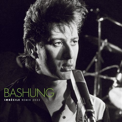 Imbécile Alain Bashung