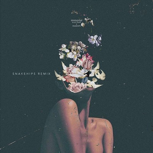 immortal Elley Duhé, Snakehips
