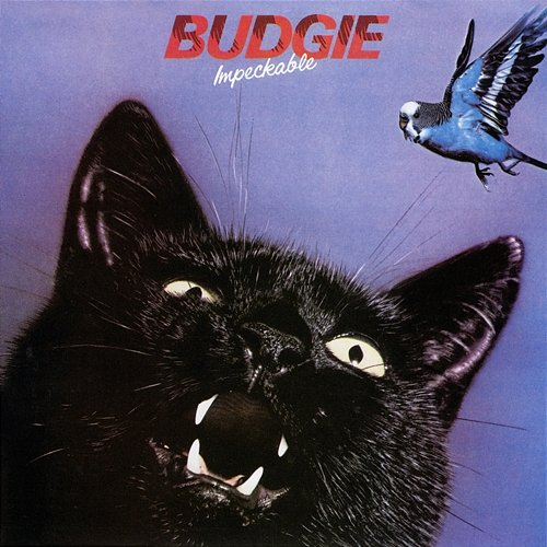 Impeckable Budgie