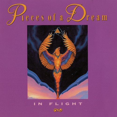 In Flight Pieces Of A Dream