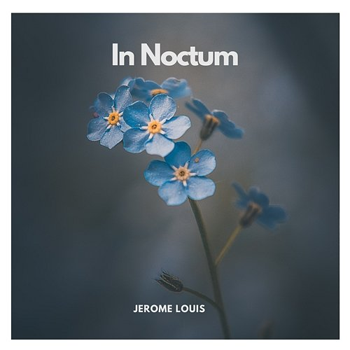 In Noctum Jerome Louis