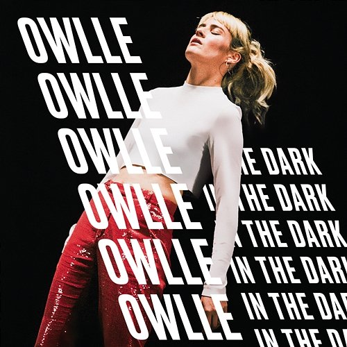 In The Dark Owlle