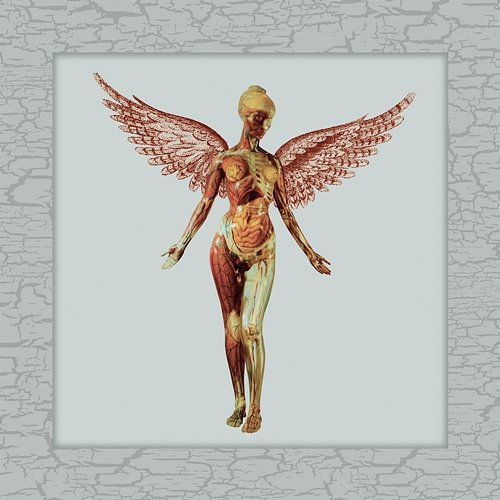 In Utero 30th Live Nirvana