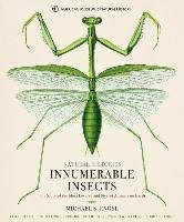 Innumerable Insects Michael S.