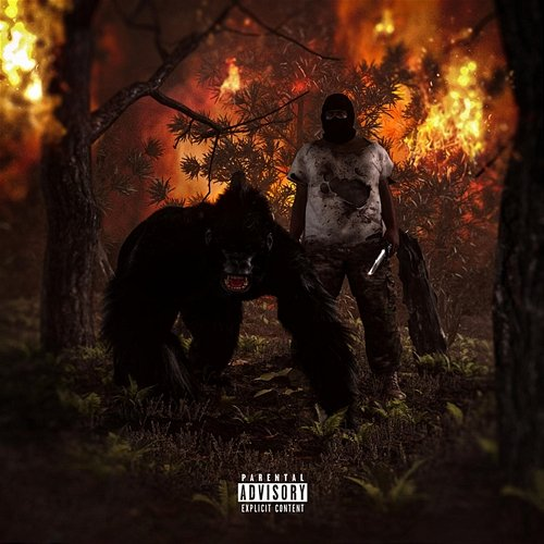 INSANE GORILLA Nutso Thugn, Akachi