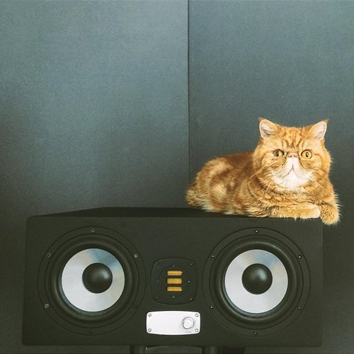 Inside Mind Music