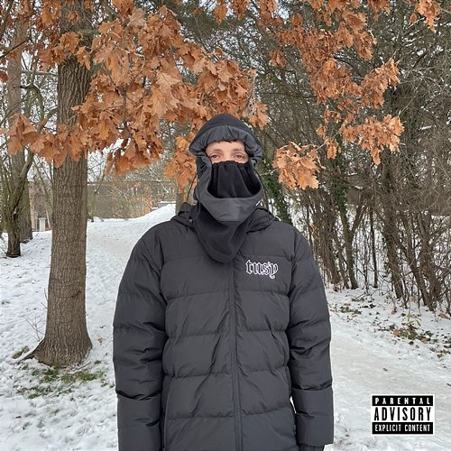 Inside Insane (Freestyle) Darewin