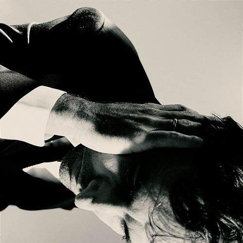 Inside Problems Andrew Bird