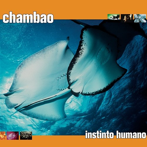 Instinto Humano Chambao