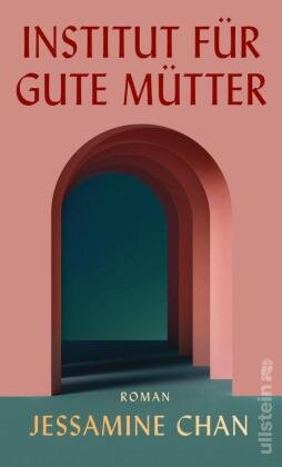 Institut für gute Mütter Ullstein HC