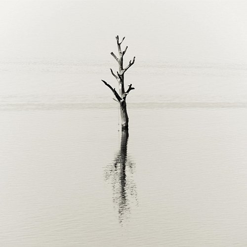 Interlude ABBOTT feat. Canea Quartett