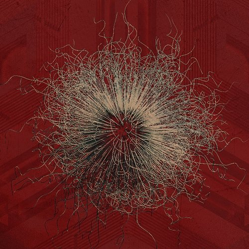 Into Nothing Bleed from Within