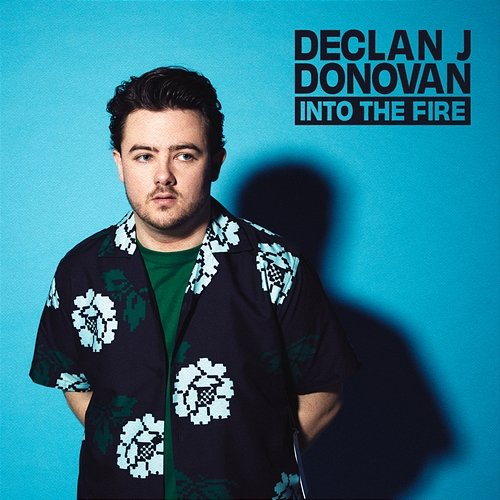 Into The Fire Declan J Donovan
