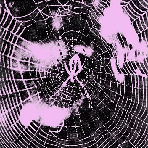 Intro Jamule