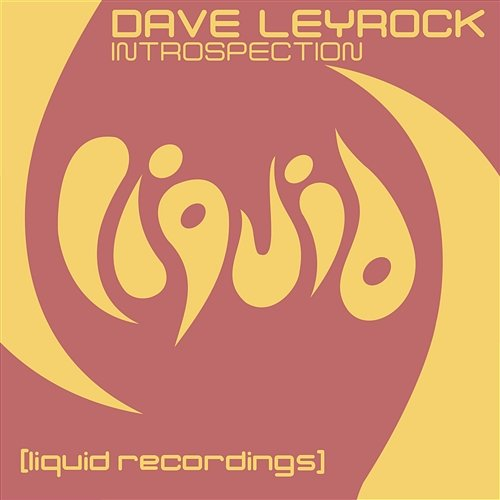 Introspection Dave Leyrock
