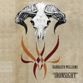 Ironsight Handasyd Williams