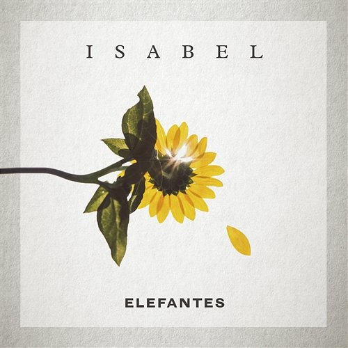 Isabel Elefantes