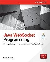 Java WebSocket Programming Coward Danny